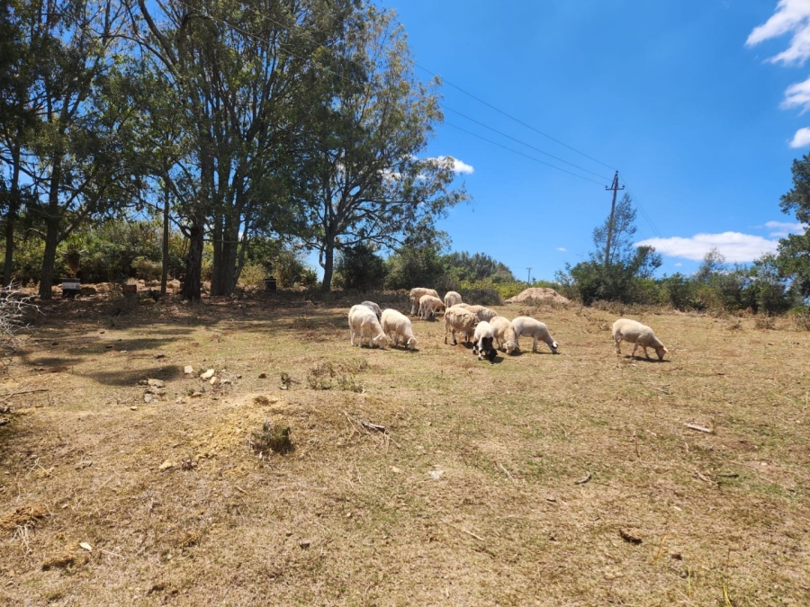 Commercial Property for Sale in Friemersheim Western Cape